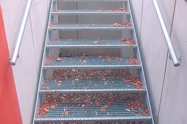 Brandschutz-Treppen und -Leitern